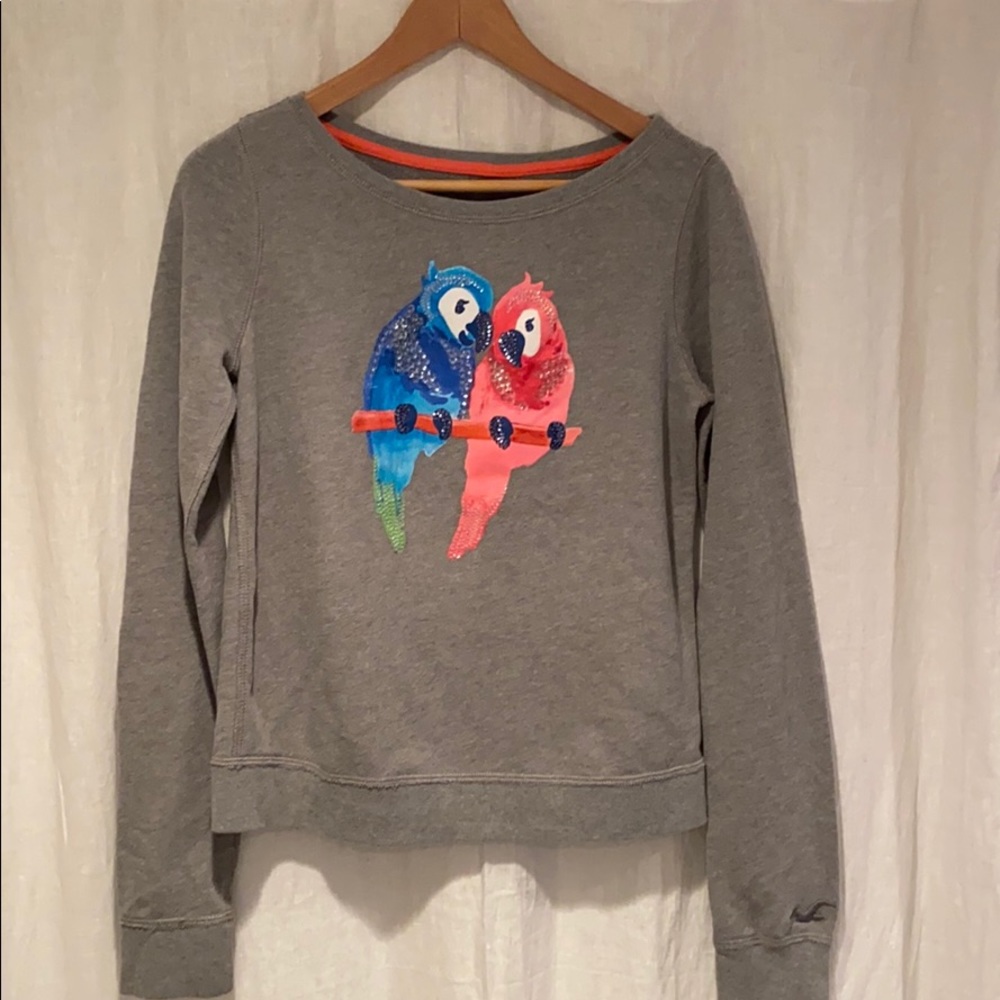 Sequence Parrot Hollister Fleece Sweater